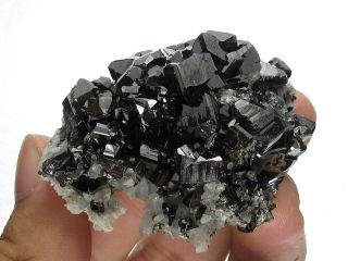 Cassiterite Crystal Cluster with Quartz,  Viloco Mine,  Bolivia 4
