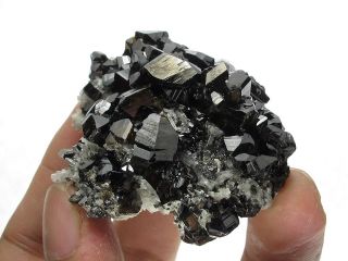 Cassiterite Crystal Cluster with Quartz,  Viloco Mine,  Bolivia 5