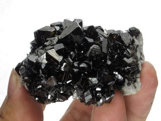 Cassiterite Crystal Cluster with Quartz,  Viloco Mine,  Bolivia 6