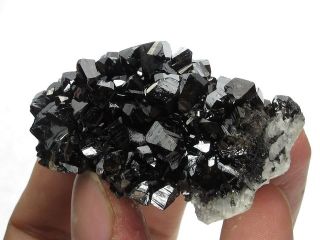 Cassiterite Crystal Cluster with Quartz,  Viloco Mine,  Bolivia 7