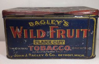 Vintage Bagley ' s Wild Fruit Flake Cut Tobacco Tin 3