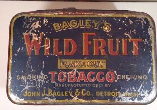 Vintage Bagley ' s Wild Fruit Flake Cut Tobacco Tin 5