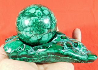 A Big Aaa Sphere On A Big Polished Malachite Stalagmite From The Congo 1340gr E