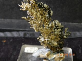Michigan Native Silver Crystals - Mining Mineral Specimen Half - breed - White Pine 2