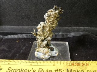 Michigan Native Silver Crystals - Mining Mineral Specimen Half - breed - White Pine 3