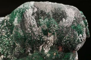 EXTRAORDINARY Atacamite Crystal Cluster MOUNT GUNSON MINE,  AUSTRALIA 6