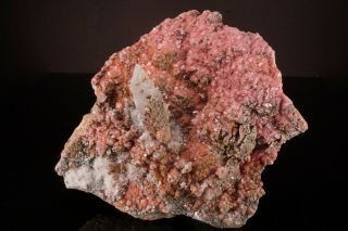 Large Rhodochrosite & Quartz Crystal Butte,  Montana