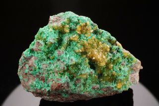 RARE Cadmium Willemite & Zincolivenite Crystal TSUMEB,  NAMIBIA - Ex.  Flynn 12
