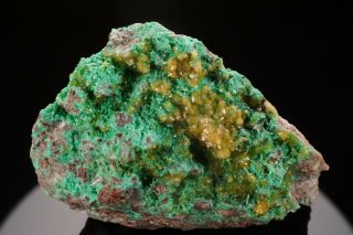 Rare Cadmium Willemite & Zincolivenite Crystal Tsumeb,  Namibia - Ex.  Flynn
