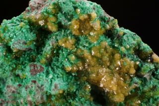 RARE Cadmium Willemite & Zincolivenite Crystal TSUMEB,  NAMIBIA - Ex.  Flynn 2