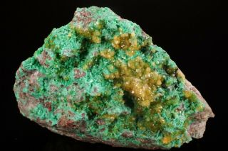 RARE Cadmium Willemite & Zincolivenite Crystal TSUMEB,  NAMIBIA - Ex.  Flynn 3