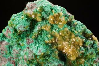 RARE Cadmium Willemite & Zincolivenite Crystal TSUMEB,  NAMIBIA - Ex.  Flynn 9