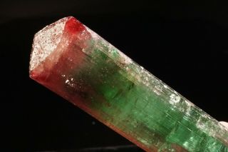 UNIQUE Bi - Color Tourmaline Crystal CRUZEIRO MINE,  BRAZIL 10