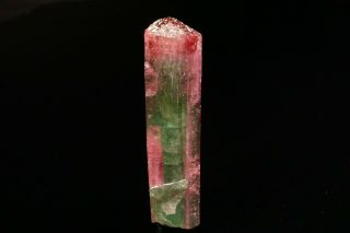 UNIQUE Bi - Color Tourmaline Crystal CRUZEIRO MINE,  BRAZIL 11