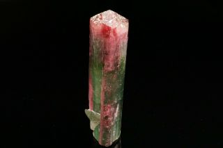 UNIQUE Bi - Color Tourmaline Crystal CRUZEIRO MINE,  BRAZIL 12