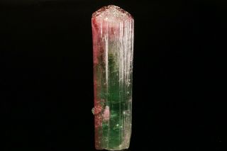 Unique Bi - Color Tourmaline Crystal Cruzeiro Mine,  Brazil