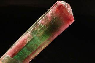 UNIQUE Bi - Color Tourmaline Crystal CRUZEIRO MINE,  BRAZIL 2