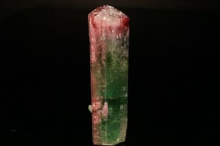 UNIQUE Bi - Color Tourmaline Crystal CRUZEIRO MINE,  BRAZIL 3