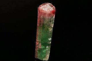UNIQUE Bi - Color Tourmaline Crystal CRUZEIRO MINE,  BRAZIL 4