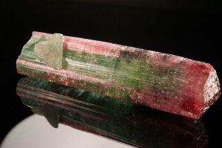 UNIQUE Bi - Color Tourmaline Crystal CRUZEIRO MINE,  BRAZIL 5