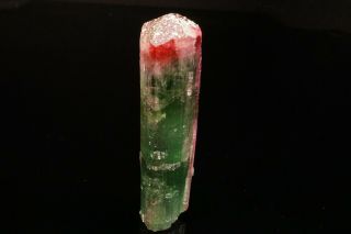 UNIQUE Bi - Color Tourmaline Crystal CRUZEIRO MINE,  BRAZIL 7