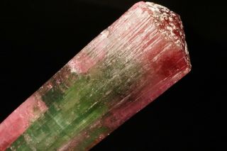 UNIQUE Bi - Color Tourmaline Crystal CRUZEIRO MINE,  BRAZIL 8
