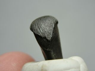 Meteorite - Sikhote - Alin - Iron - IIAB - SA - 1595 - 5.  34g - COA/Observed Fall 1947 11
