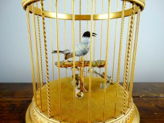 Swiss Reuge Music Box Bird Cage with Musical Automation Singing Birds 4
