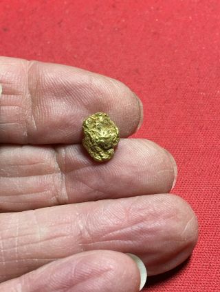 Natural Gold Nugget Specimen With Quartz Rock Bullion From Oregon 1.  69 Gram A53