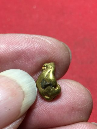 Natural Gold Nugget Specimen With Quartz Rock Bullion From Oregon 1.  78 Gram A59