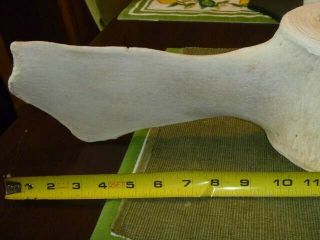 Vintage Whale Vertebrae Fossil 25x15 fully intact wings 2