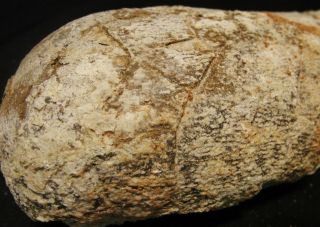 Authentic BIG oval - shaped dinosaur egg fossil,  Cretaceous Theropod Oviraptor 7