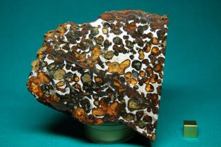 Sericho Meteorite Pallasite 1,  071 Grams