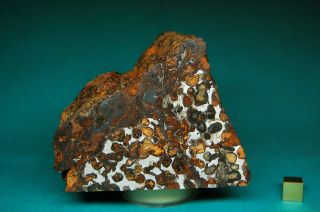 Sericho meteorite Pallasite 1,  071 grams 2