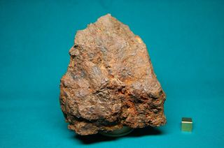 Sericho meteorite Pallasite 1,  071 grams 3