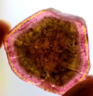 Wow 35 Carats Self Standing Large Size Multi Color Tourmaline Slice @Afghanistan 3