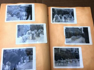 1954 Alaska Trip Photo Album Dog Sled Racing,  Fur Rendezvous Program Anchorage 7