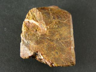 Rare Monazite (ce) Crystal From Madagascar - 1.  7 "