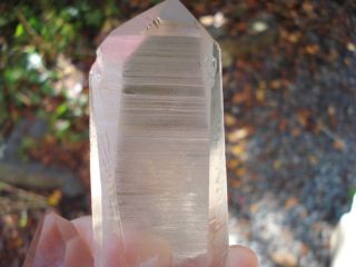 Large Lemurian Seed Crystal Quartz - Striations - Tabby - Golden Healer
