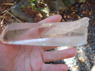 LARGE Lemurian Seed Crystal Quartz - Striations - Tabby - Golden healer 2