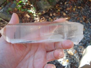 LARGE Lemurian Seed Crystal Quartz - Striations - Tabby - Golden healer 3