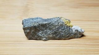 Colorado Gold Crystal Specimen 10.  7 Grams 5