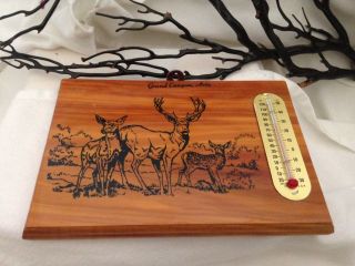 Vtg.  Grand Canyon,  Az Souvenir Wood Cedar Wall Thermometer Buck,  Doe,  Fawn Deer