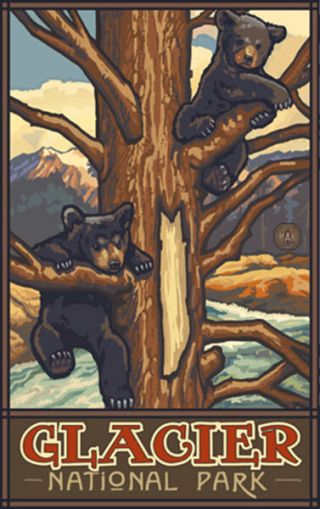 Retro Poster - Glacier Np - Black Bear Cubs In Tree (pal - 4043)