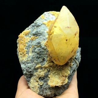 645g Natural Yellow Dog Tooth Fluorescein Manganese Calcite Mineral Specimen