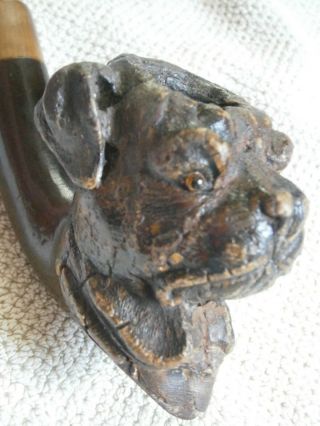 Antique Calabash Estate Pipe Carved Wood Dog Pipa Tobacco Smoking ? Black Forest
