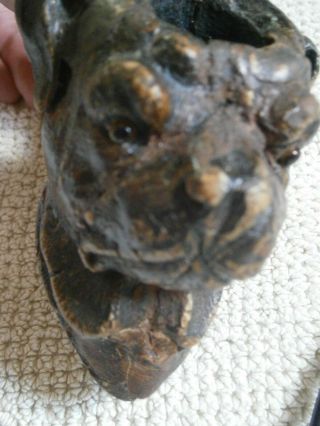 Antique Calabash Estate Pipe Carved wood Dog Pipa Tobacco Smoking ? Black Forest 4