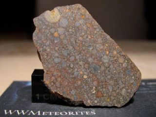 Meteorite Nwa 12581 - Very Primitive Chondrite - Ll3.  10 (one Of Six Classified)