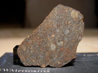 Meteorite NWA 12581 - Very Primitive Chondrite - LL3.  10 (one of six classified) 3