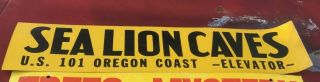 Oregon Coast Sea Lion Caves Camper Bumper Tie Sign Sticker